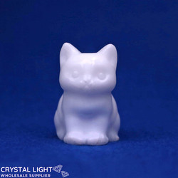 Aragonite Cat