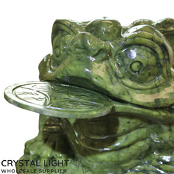 Animals: Serpentine Money Frog (Large)