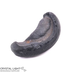 Whale Earbone Fossil