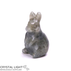 Animals: Labradorite Rabbit
