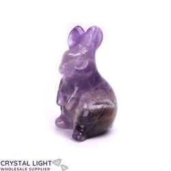 Animals: Chevron Amethyst Rabbit