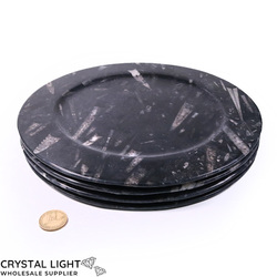 Auctions: Orthoceras Plate Set