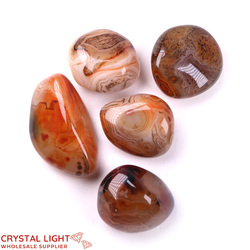 Tumble Lots: Madagascar Agate Large Tumble Lot