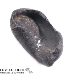 Other Fossils: Whale Earbone Fossil