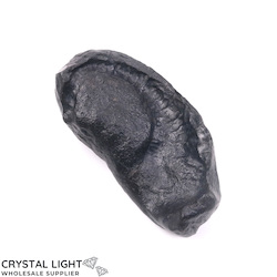 Other Fossils: Whale Earbone Fossil