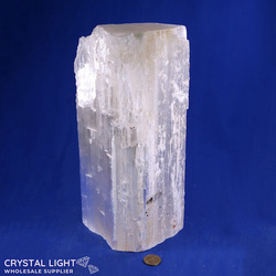 Selenite Log (Auction)