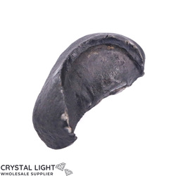 Other Fossils: Whale Earbone Fossil