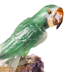 Animals: Fluorite Parrot on Amethyst Druse