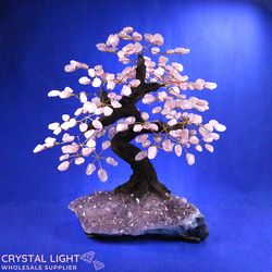 Large/Extra Large Trees: Rose Quartz Druse Tree (Single)