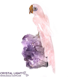 Rose Quartz Parrot on Amethyst Druse