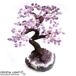 Large/Extra Large Trees: Amethyst Druse Tree (Single)