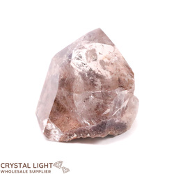 Single Point Listings: Lodolite Quartz Point