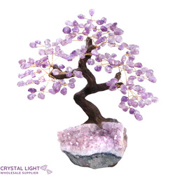 Large/Extra Large Trees: Amethyst Druse Tree (Single)