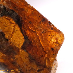 Amber: Kauri Gum Specimen