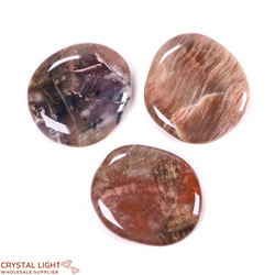 Petrified Wood Flatstone Lot