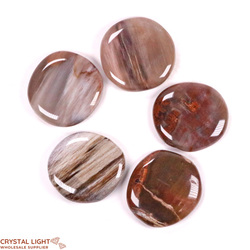 Flatstone Individuals and Lots: Petrified Wood Flatstone Lot