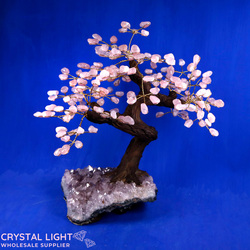 Rose Quartz Druse Tree (Single)
