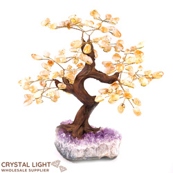 Citrine Druse Tree (Single)