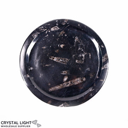 Bowls, Plates & Dishes: Orthoceras Fossil Plate (Medium)