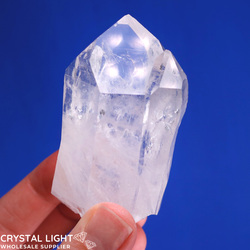 Lemurian Twin Point