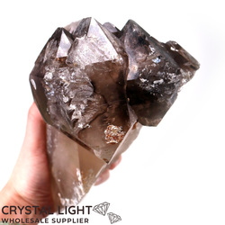 Sceptre Crystals: Smokey Citrine Elestial Sceptre