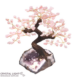 Rose Quartz Druse Tree (Single)