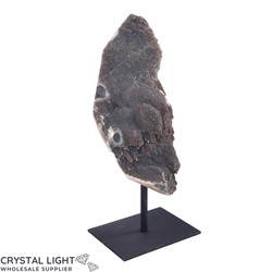Black Amethyst Druse on Stand