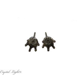 Ear rings: Empty Silver Ear Stud Pair