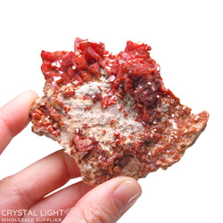 Auctions: Vanadinite Specimen (AUCTION)