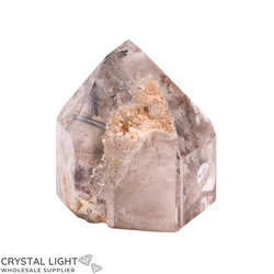 Single Point Listings: Lodolite Point with Rutile