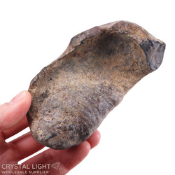 Whale Earbone Fossil