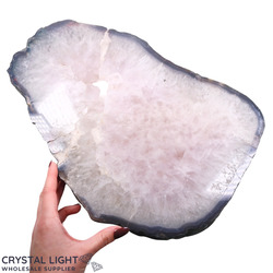 Auctions: Amethyst Polished Slice (AUCTION)
