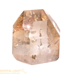 Single Point Listings: Lodolite Polished Point