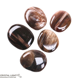 Petrified Wood Flatstone Lot