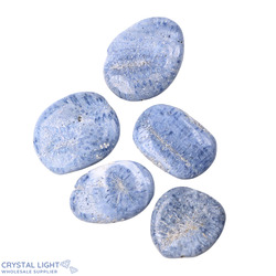 Blue Coral Flatstone Lot