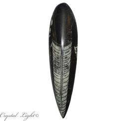 Orthoceras: Orthoceras Fossil Blade