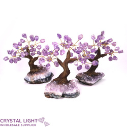 Small/Extra Small Trees: Amethyst Druse Tree XS