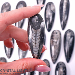 Orthoceras Fossil Blade Pendant