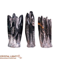 Orthoceras Fossil Tower Small