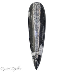 Orthoceras: Orthoceras Fossil Blade