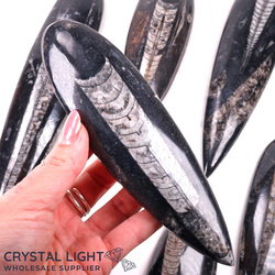 Orthoceras Fossil Blade