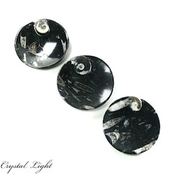 Orthoceras Round Fossil Dish