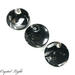 Orthoceras: Orthoceras Round Fossil Dish