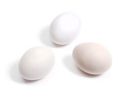 Free Range Eggs: Free Range Eggs 20 pack tray