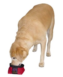 Outward Hound Everyday Essentials: Port-A-Bowl 72oz
