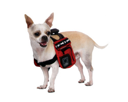 Dog Backpacks: Urban Adventure Back Pack X-Sm