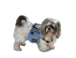 Dog Backpacks: Urban Adventure Back Pack - Sm