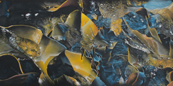 Southern Kelp