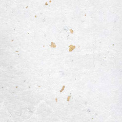 Japanese: White Unryu with Gold/Silver flecks