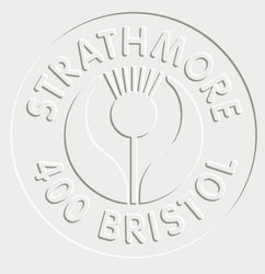 Ivory/Bristol Board: Strathmore Series 400 Bristol Board